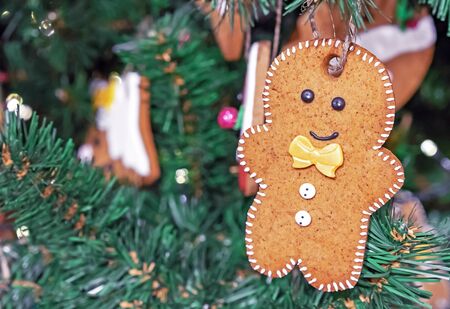 Christmas cookies in the form of a gingerbread little man.