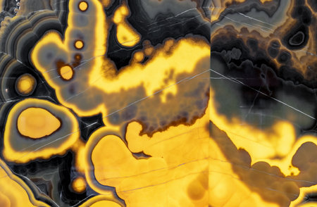 Black-yellow agate in cutaway with internal lighting. Background and texture of natural agate.の写真素材