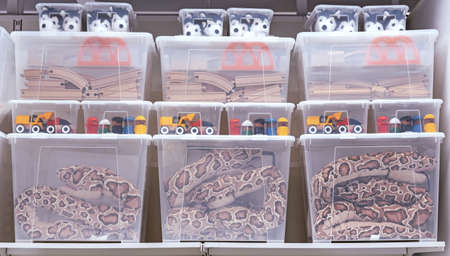 Transparent plastic containers with various children's toys.の写真素材