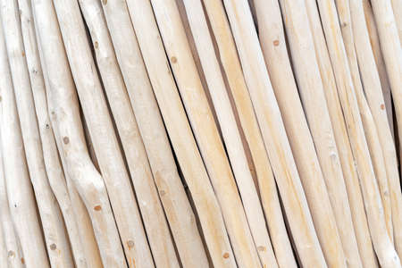 Peeled hazel trunks. Wood background and texture.の写真素材