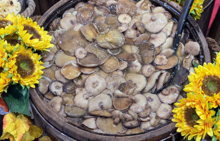 Salted mushrooms in a large wooden barrel. Mushroom conservation.の写真素材
