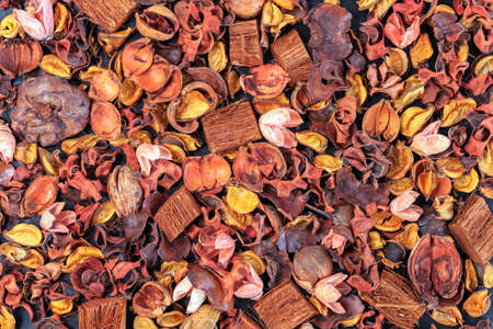 Background with dried exotic flowers. Flavored dried flowers.の写真素材