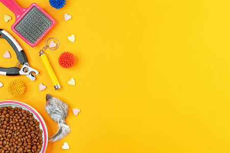Cat dry food, grooming accessories and toys on a yellow background with space for design.の写真素材