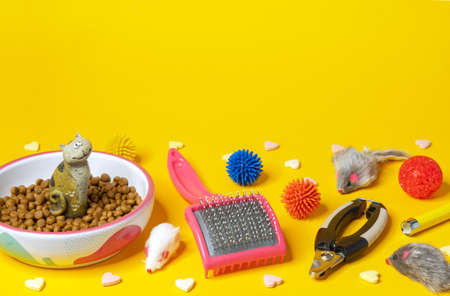 Cat dry food, grooming accessories and toys on a yellow background with space for design.