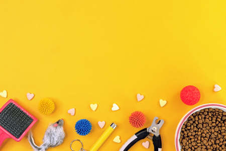Cat dry food, grooming accessories and toys on a yellow background with space for design.の写真素材