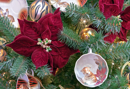 Red velvet poinsettia flower and porcelain mug with tiger cub-symbol of 2022.の写真素材