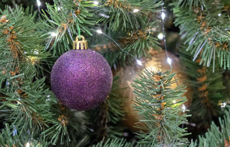Shiny purple Christmas ball on a Christmas tree with a garland.の写真素材