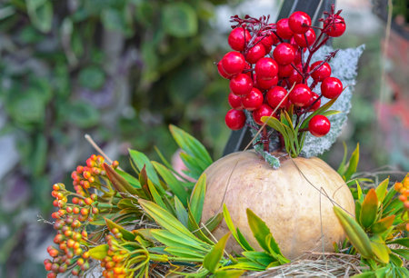 Pumpkin with red berries and green leaves on a straw.の写真素材