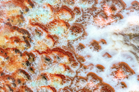 Quartz stone with gray and brown patterns. Background and texture of natural quartzite.の写真素材