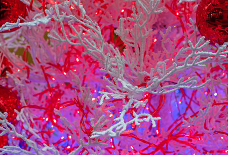 Christmas background with snow-covered branches and red garland.の写真素材