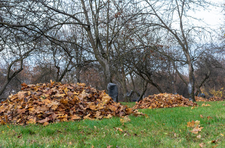 Fallen autumn leaves collected in a slide in a city park.