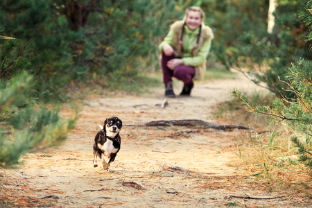 game of run a small Chihuahua.baby girl outdoors with a small dog.の写真素材