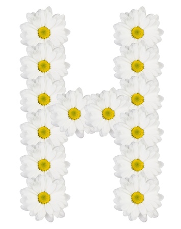 Letter H made from white flowersの写真素材