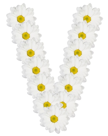 Letter V made from white flowersの写真素材