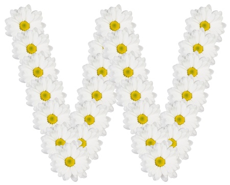 Letter W made from white flowersの写真素材