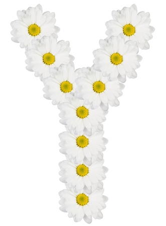 Letter Y made from white flowersの写真素材