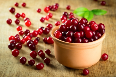 Fresh ripe red cranberries in dishの写真素材
