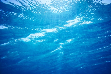 Underwater sunlight beams and shine の写真素材
