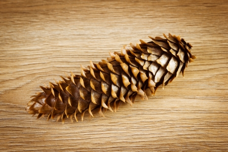 Pine cone on wooden backgroundの写真素材