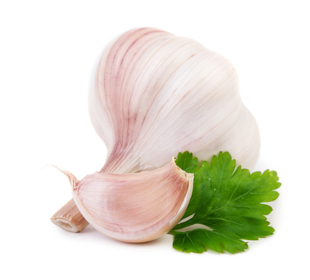 Garlic with parsley isolated on white backgroundの写真素材