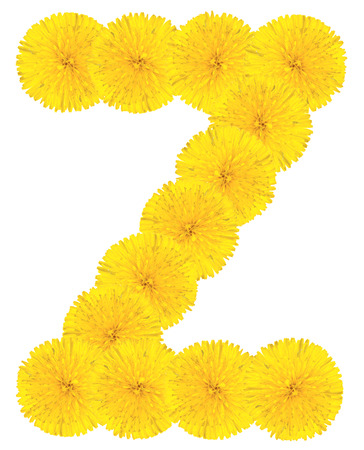 Letter Z made from dandelion flowers isolated on white backgroundの写真素材