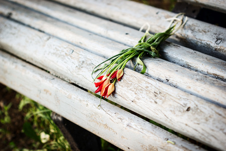 Bouquet of tulips on benchの写真素材