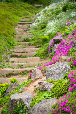 Stone stairs in the green blooming gardenの写真素材
