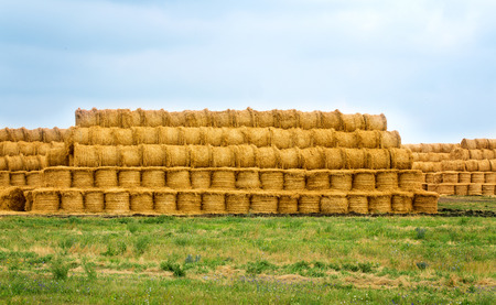 Agricultural field where harvested cereals and straw collected in a stack. summer