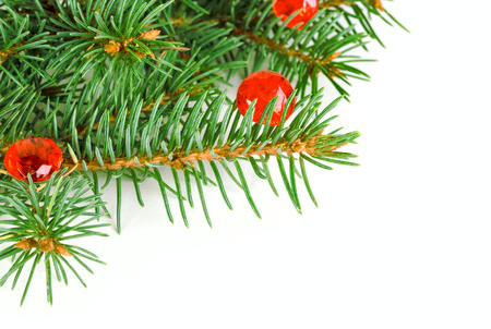 Christmas ornament with fir tree isolated on the white backgroundの写真素材