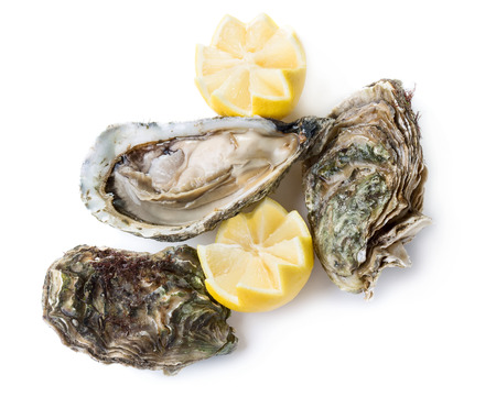 Fresh open and closed oysters with lemon isolated on white backgroundの写真素材
