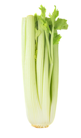 Fresh green celery isolated on white backgroundの写真素材