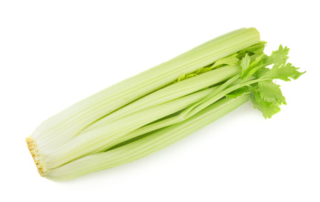Fresh green celery isolated on white backgroundの写真素材
