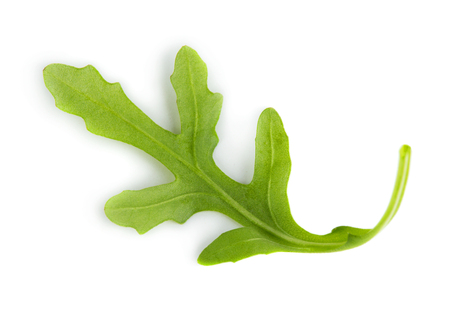 Fresh green leaf of arugula isolated on white backgroundの写真素材