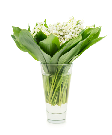 Spring flowers: bouquet of lilly-of-the-valley isolated on white backgroundの写真素材