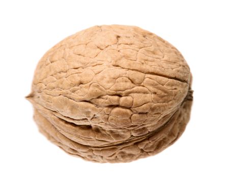 Single walnut in shell isolated on white background