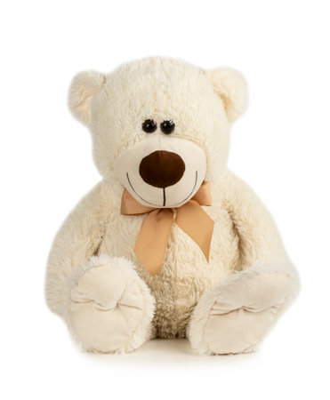 Toy teddy bear isolated on white backgroundの写真素材