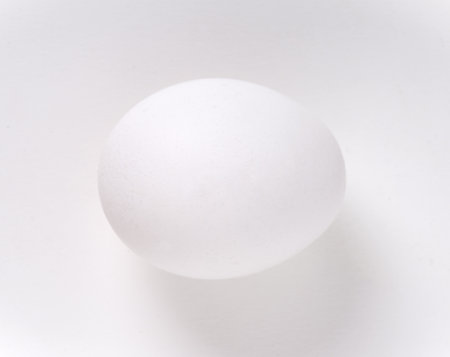 White egg on white background, studio shot