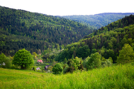 Carpathian mountain hills. Carpathian mountains, Ukraine, Polandの写真素材
