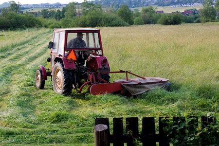 A man operates an old red tractor, cutting up hay in a field. The field is full of wild flowersの写真素材