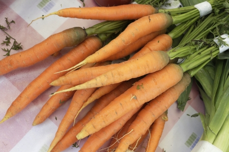 Ecological carrotsの写真素材