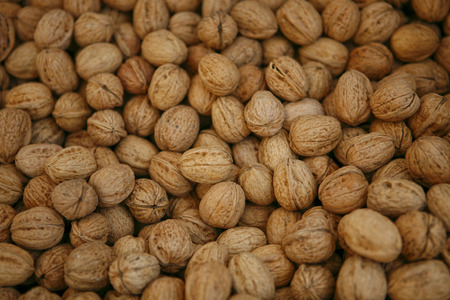 nutsの写真素材