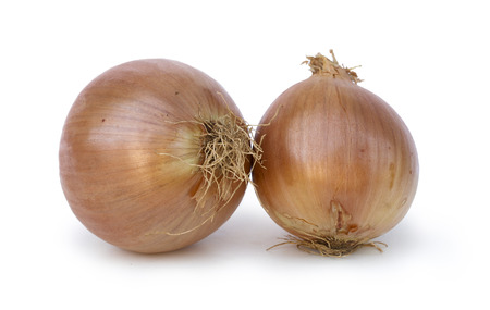 Two onions on white backgroundの写真素材