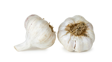 Two garlic on white backgroundの写真素材