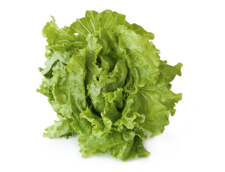 A lettuce on white backgroundの写真素材
