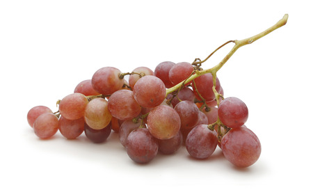 bunch of purple grapes on white backgroundの写真素材