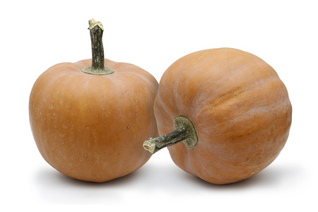 Two whole pumpkins on white background. Healthy vegetarian foodの写真素材