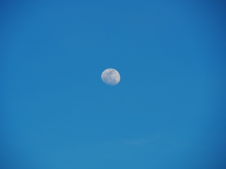 Beautiful moon.の素材