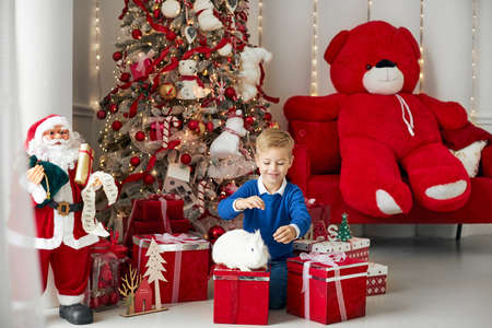 A little handsome and happy boy sits near a Christmas tree and gifts decorated in red colors and plays with a real white rabbit.の写真素材