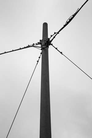 rural landscape in the summer or springの写真素材