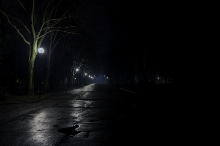 photo of an avenue of a park at night with street lamps and wet asphaltの写真素材
